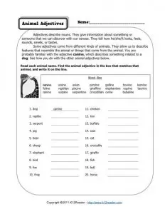 Animal Adjectives | 4th Grade Adjective Worksheets