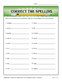 Correct the Spelling | Correcting, Proofing and Editing